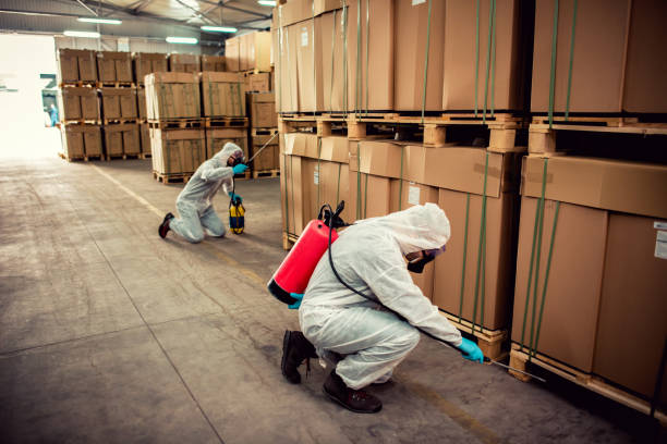 Best Termite Control Services  in Penn Valley, CA