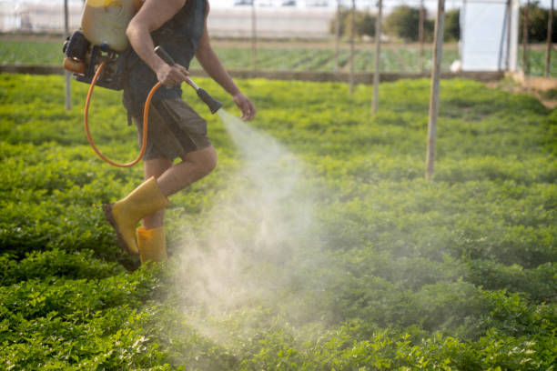 Best Best Pest Control Companies  in Penn Valley, CA