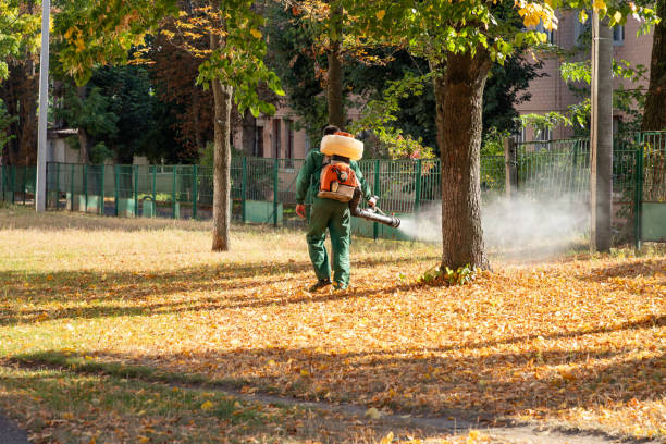 Best Local Pest Control Services  in Penn Valley, CA
