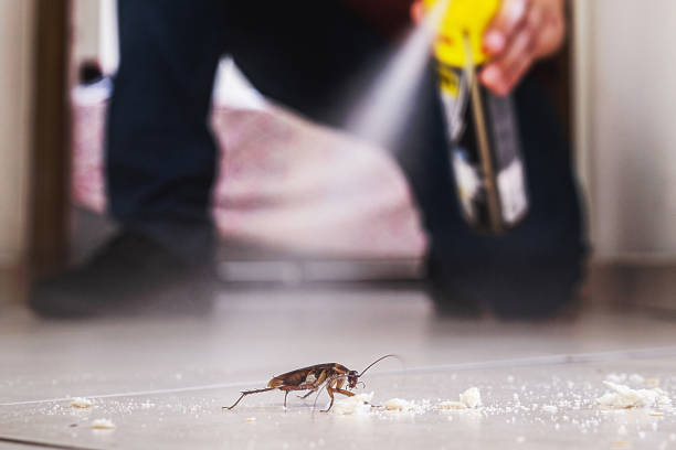 Penn Valley, CA Pest Control Company